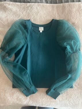 Anthropology Maeve Teal Green Puff-Sleeve Mesh Top